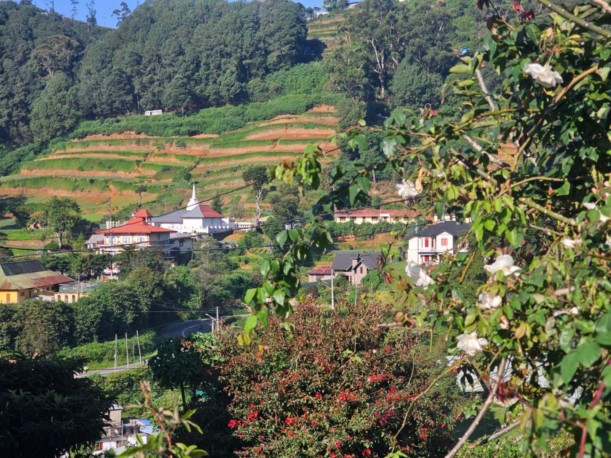 Haven Backpackers Vandrehjem Nuwara Eliya Eksteriør billede
