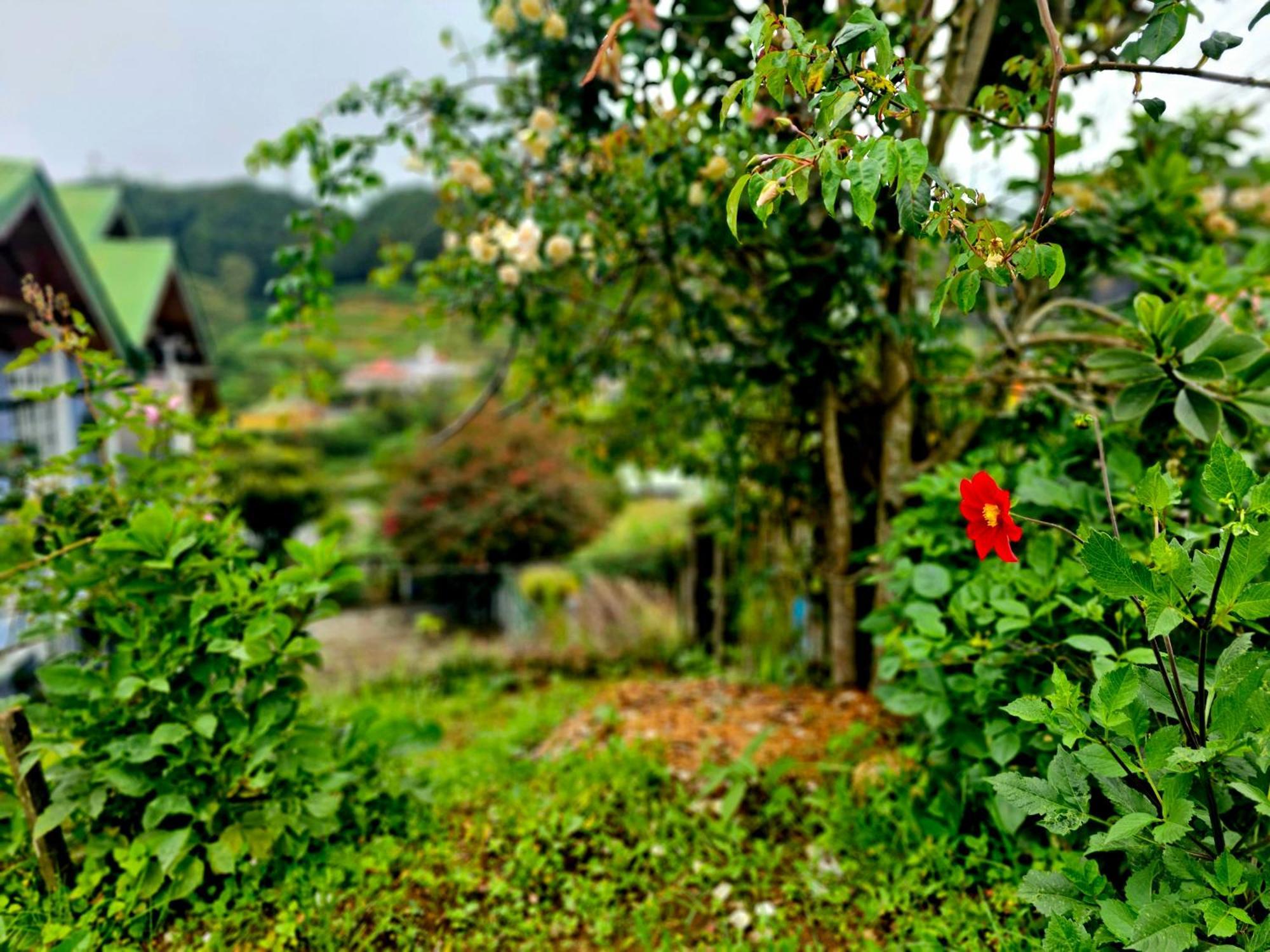 Haven Backpackers Vandrehjem Nuwara Eliya Eksteriør billede