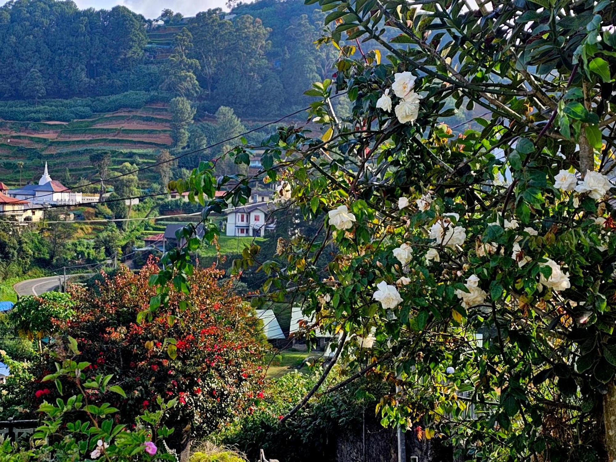 Haven Backpackers Vandrehjem Nuwara Eliya Eksteriør billede